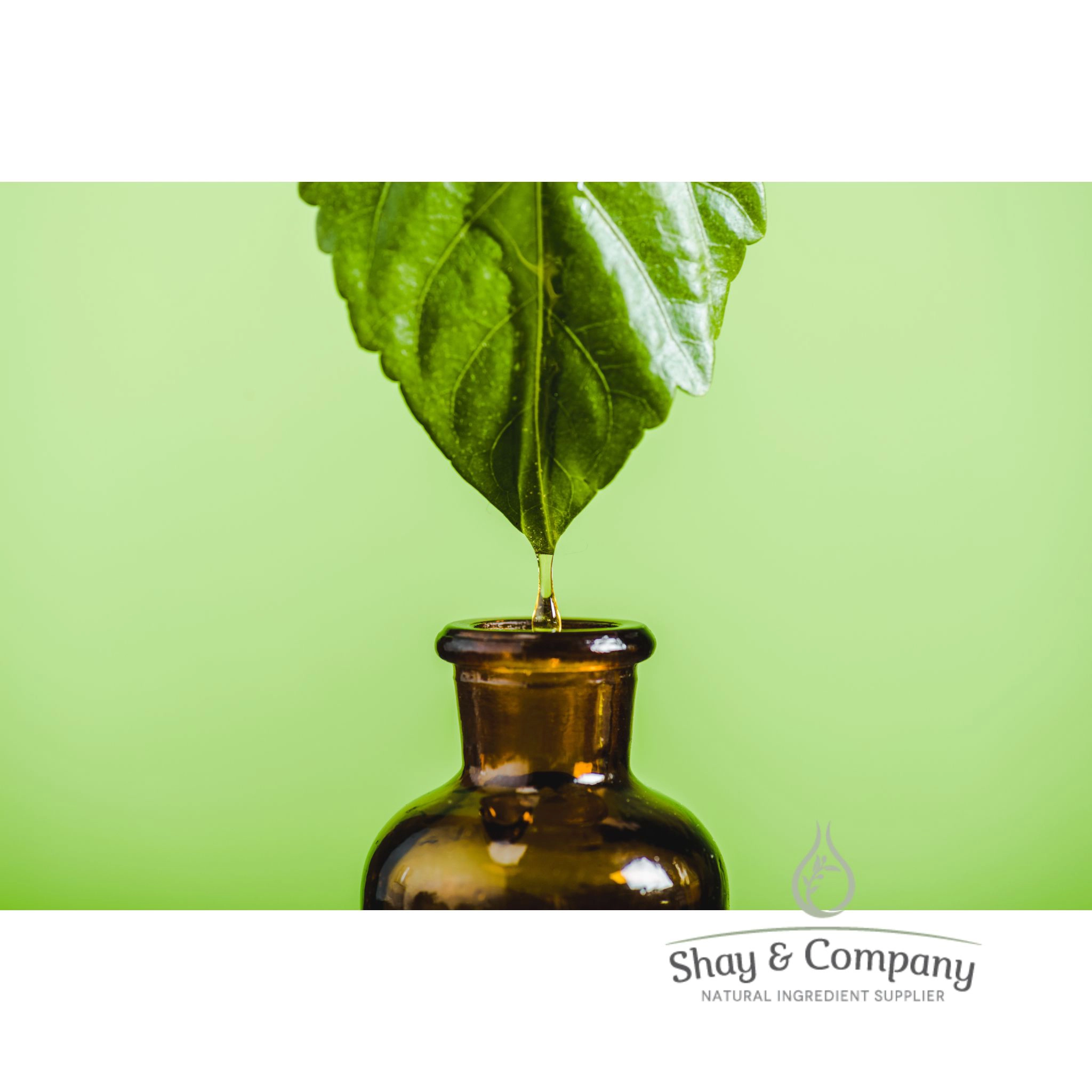 Clove Leaf Essential Oil