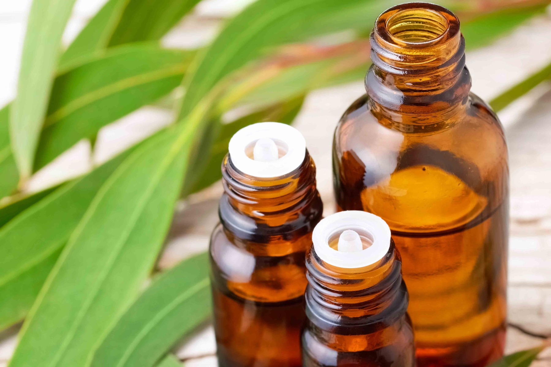Eucalyptus Essential Oil 80/85% Cineole **New Pricing!!