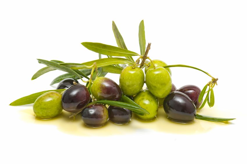 Olive Oil Organic Extra Virgin