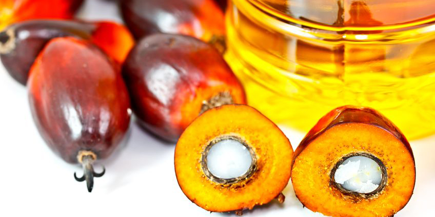 Palm Oil RSPO, Best choice for Soap Making!