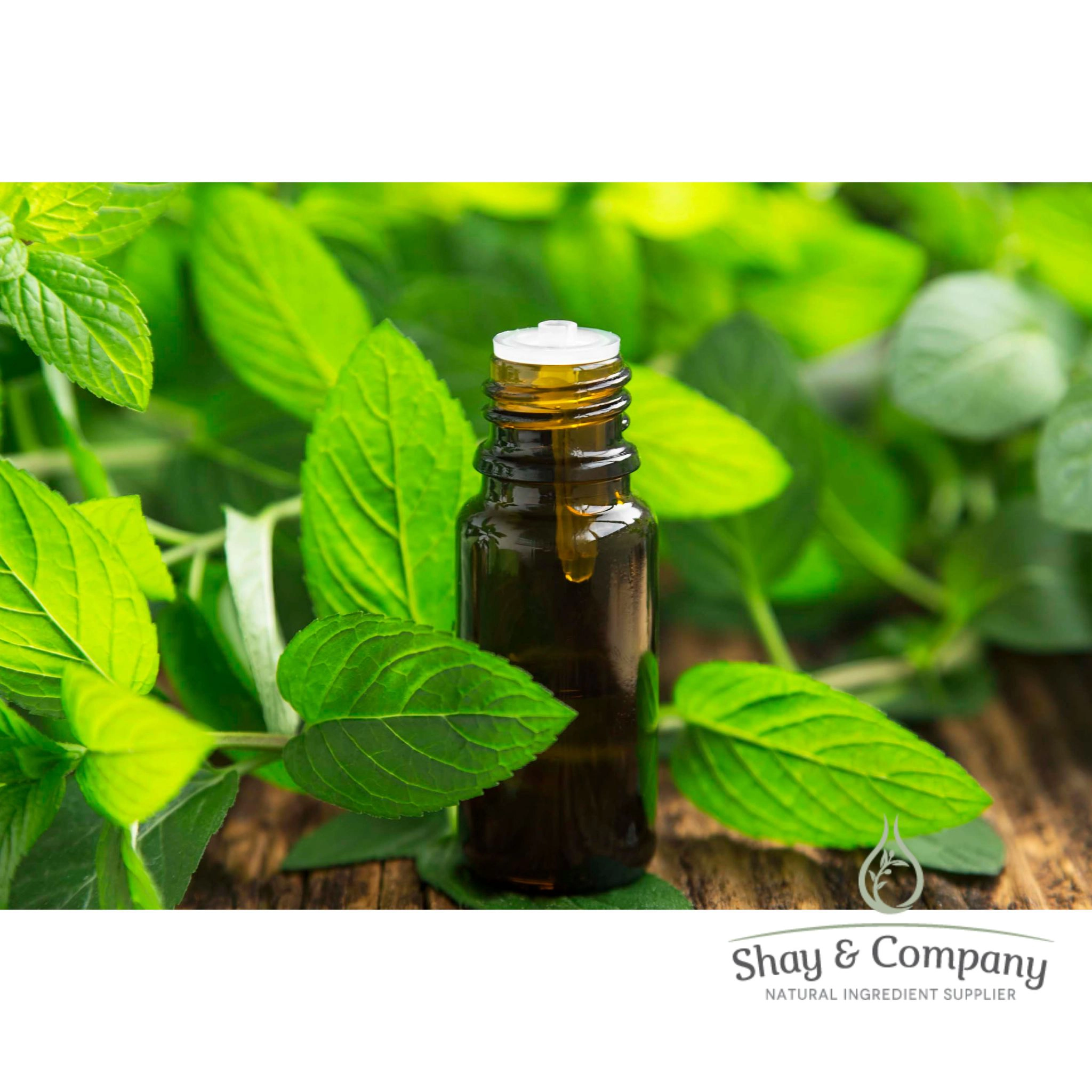 Spearmint Essential Oil (Oregon or Washington Grown)