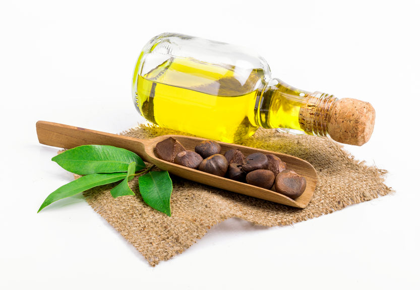 Camellia Oil Organic Virgin
