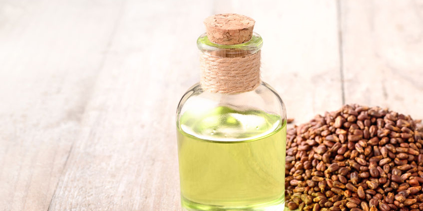 Grape Seed Oil Organic Virgin **New Pricing!!