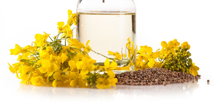 Canola Oil Organic Non-GMO