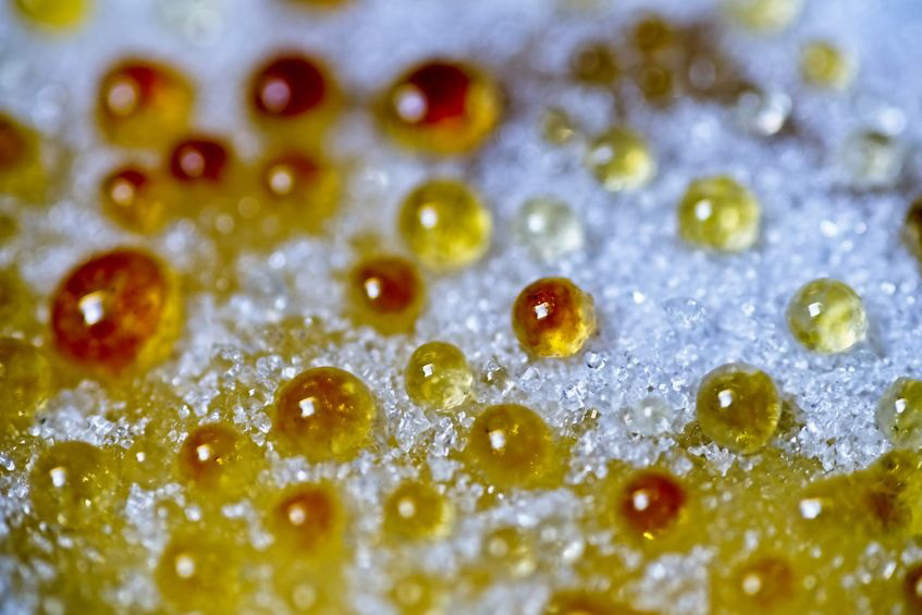 WARM VANILLA SUGAR
