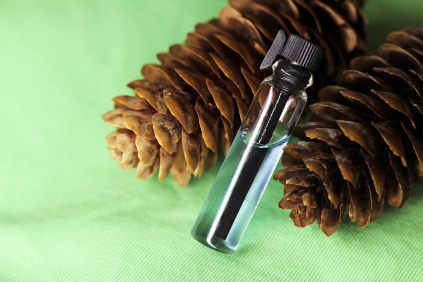 Balsam Pine Fragrance