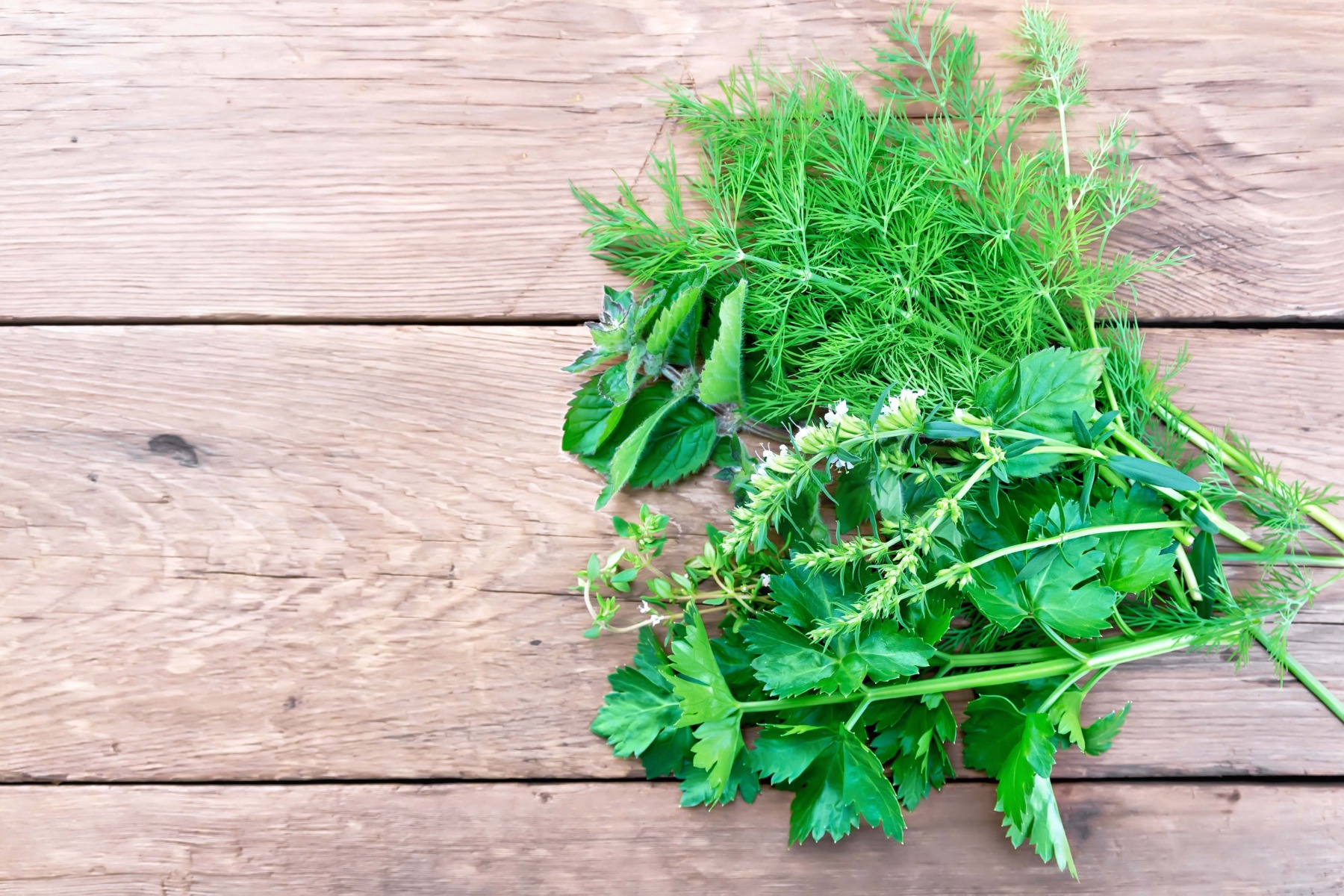 WATERCRESS AND THYME FRAGRANCE