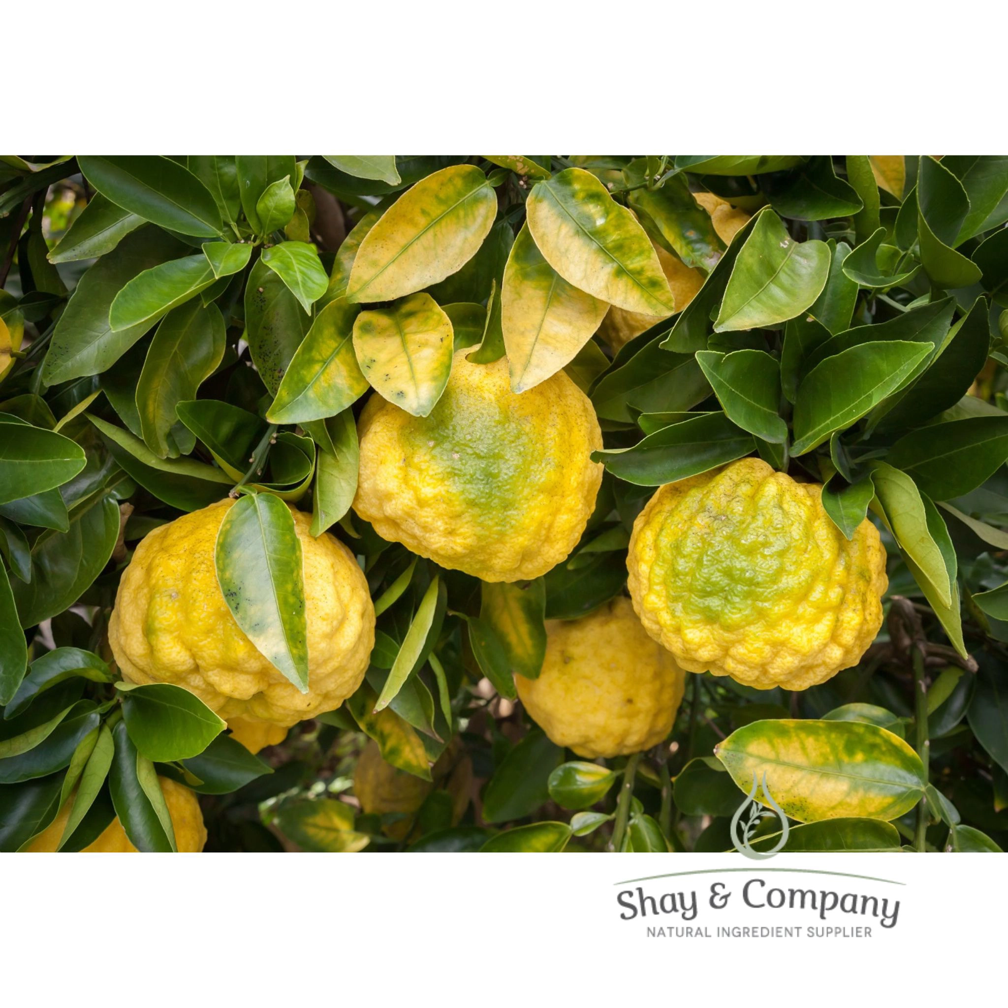 Yuzu Essential Oil  **New Price!!