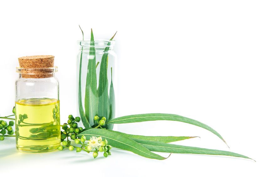 Aloe Oil, Organic