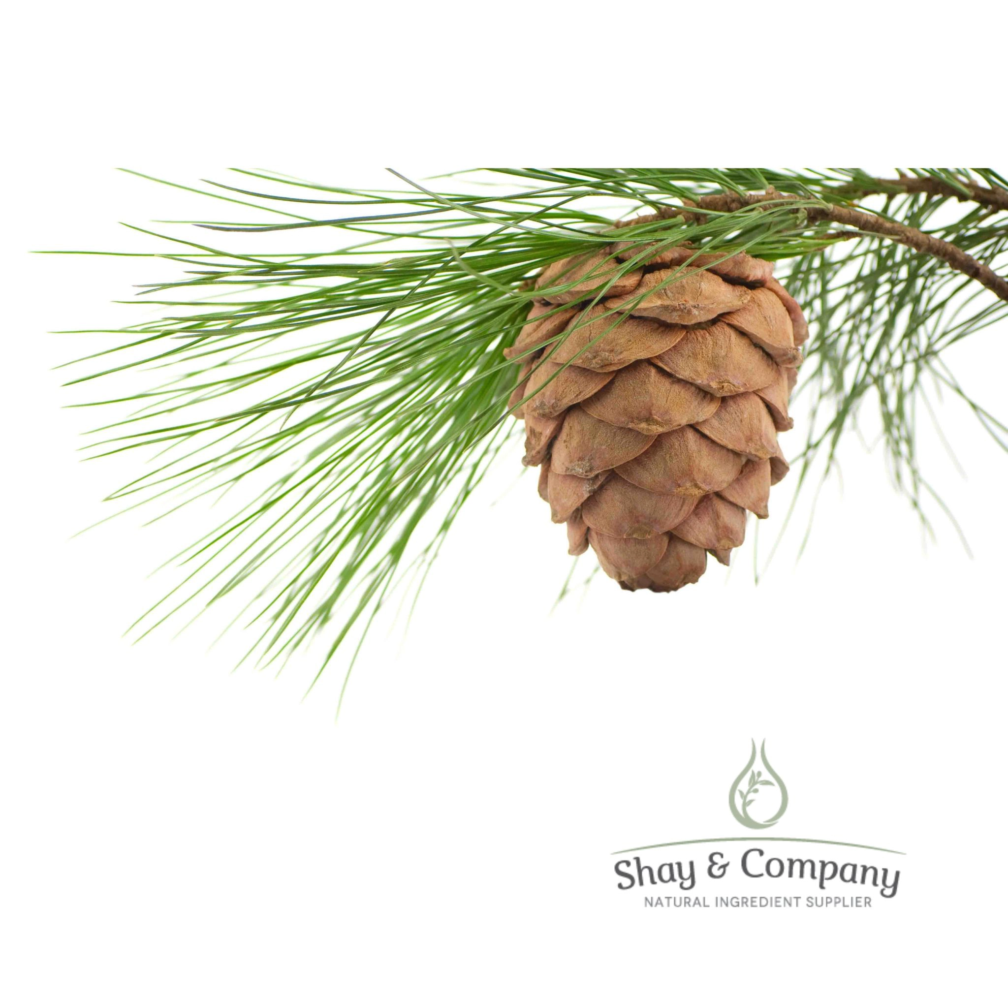 Cedarwood Virginian Essential Oil