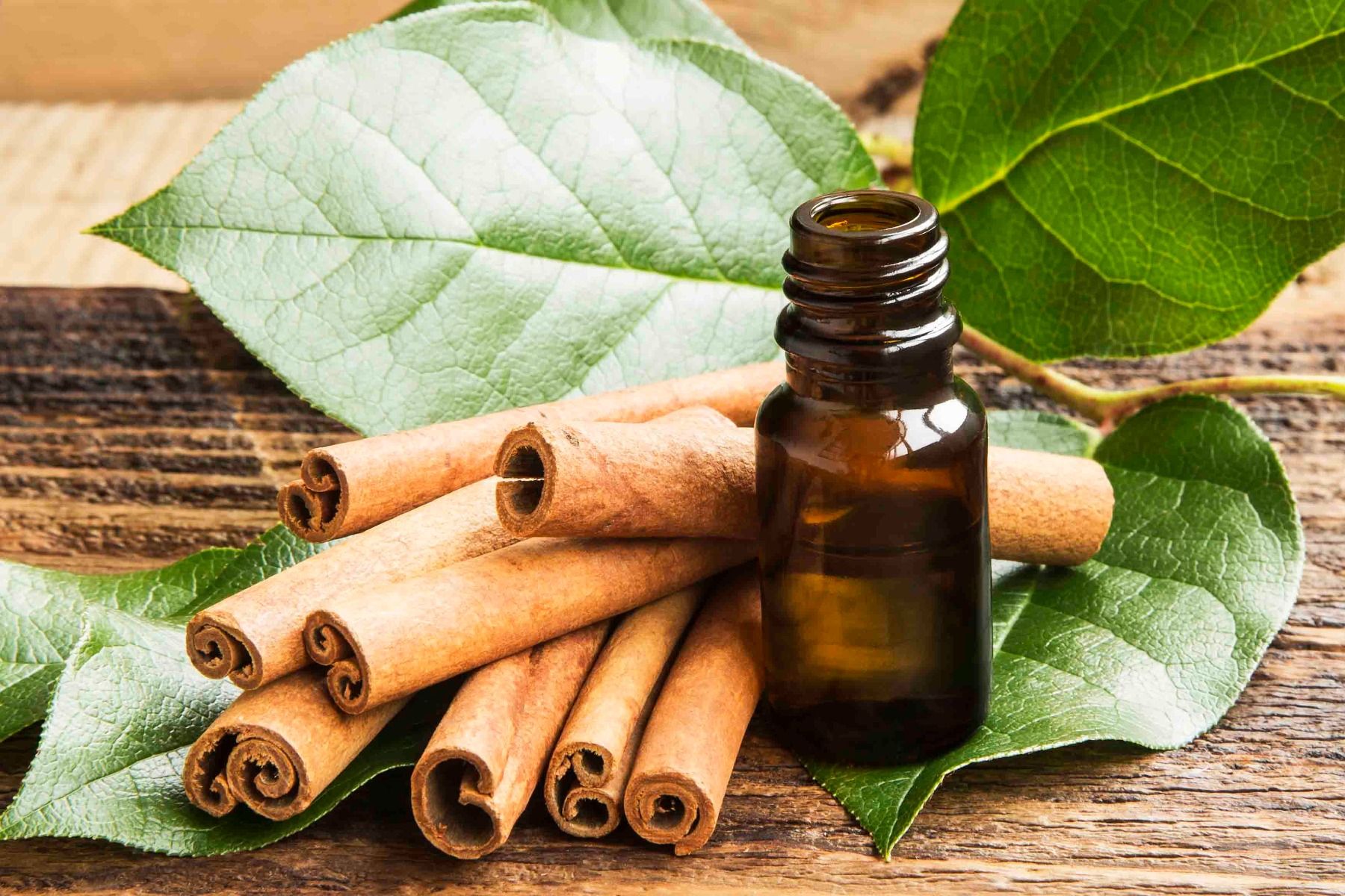 Cinnamon Leaf Essential Oil
