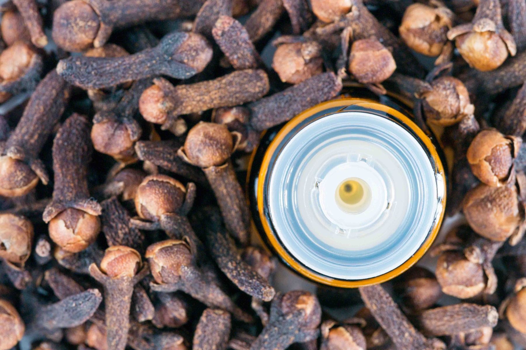 Clove Bud Essential Oil