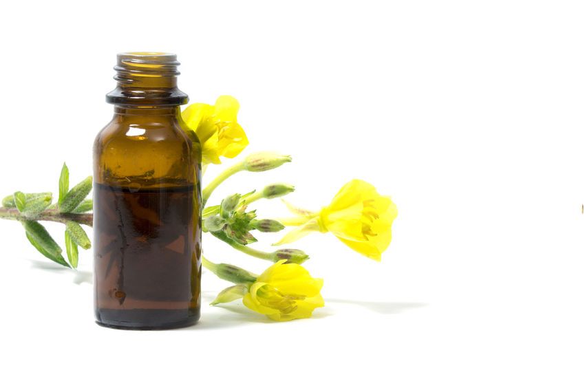Evening Primrose Oil Organic 10% GLA