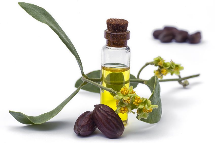 Jojoba Oil, Golden USA