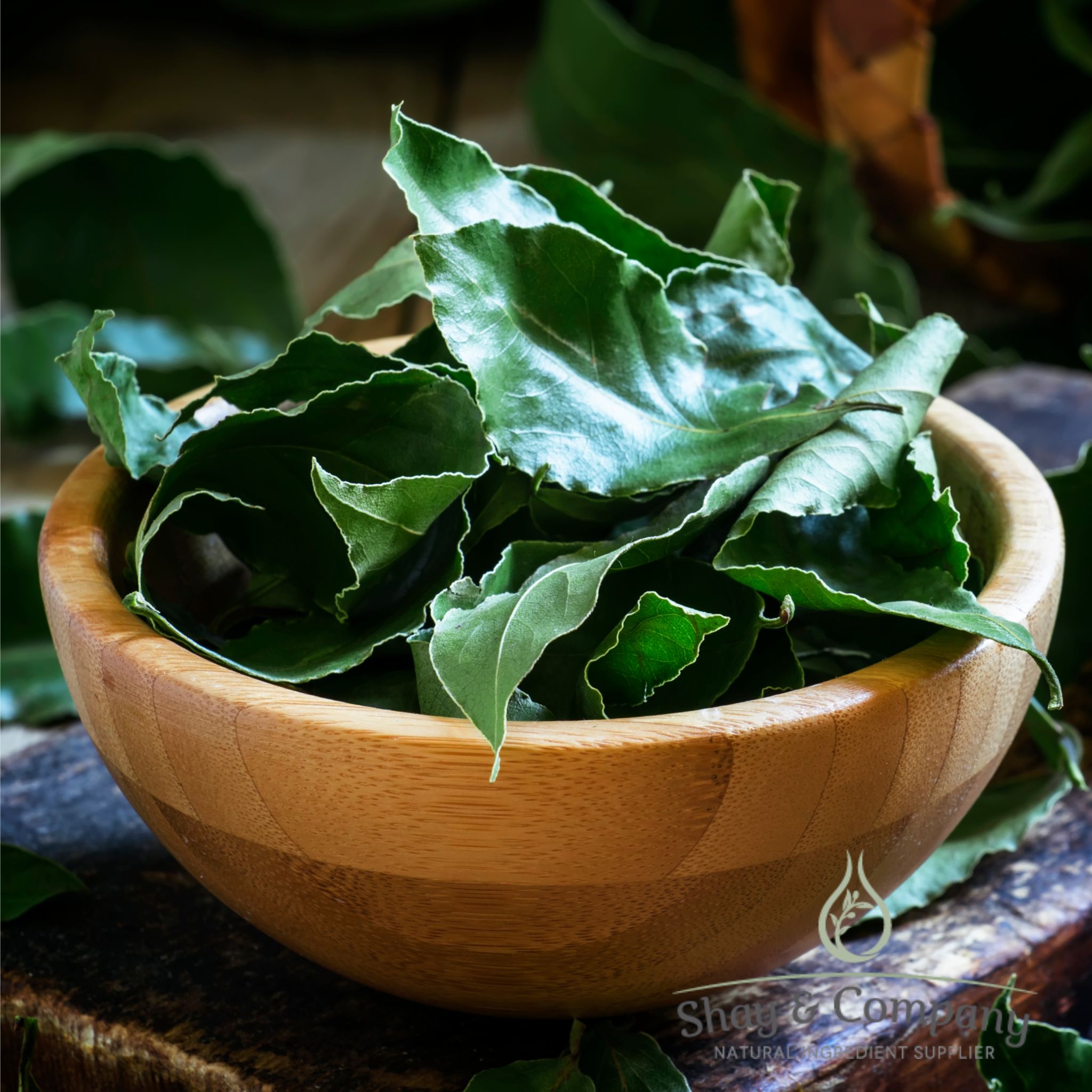 Bay Leaf Essential Oil