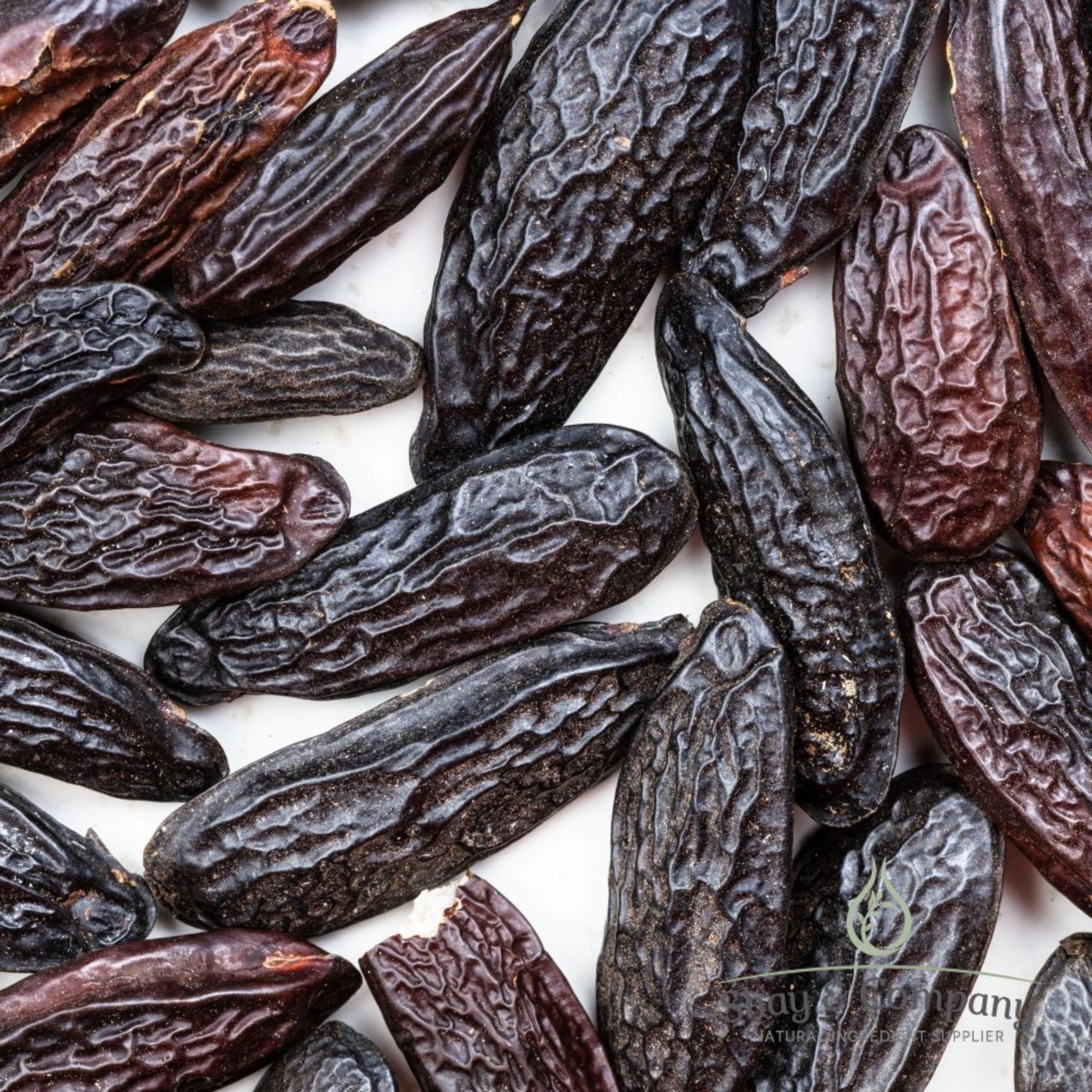 Tonka Bean Absolute Essential Oil