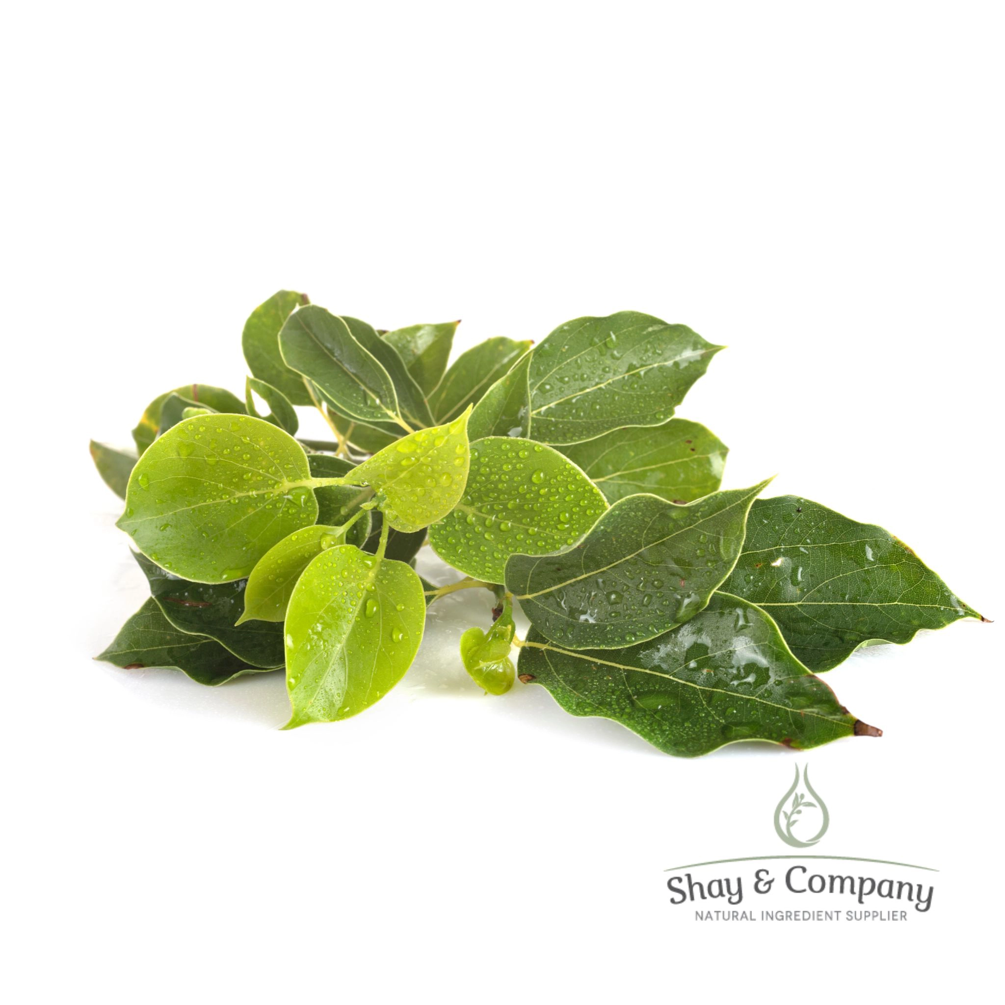 Ho Wood Essential Oil