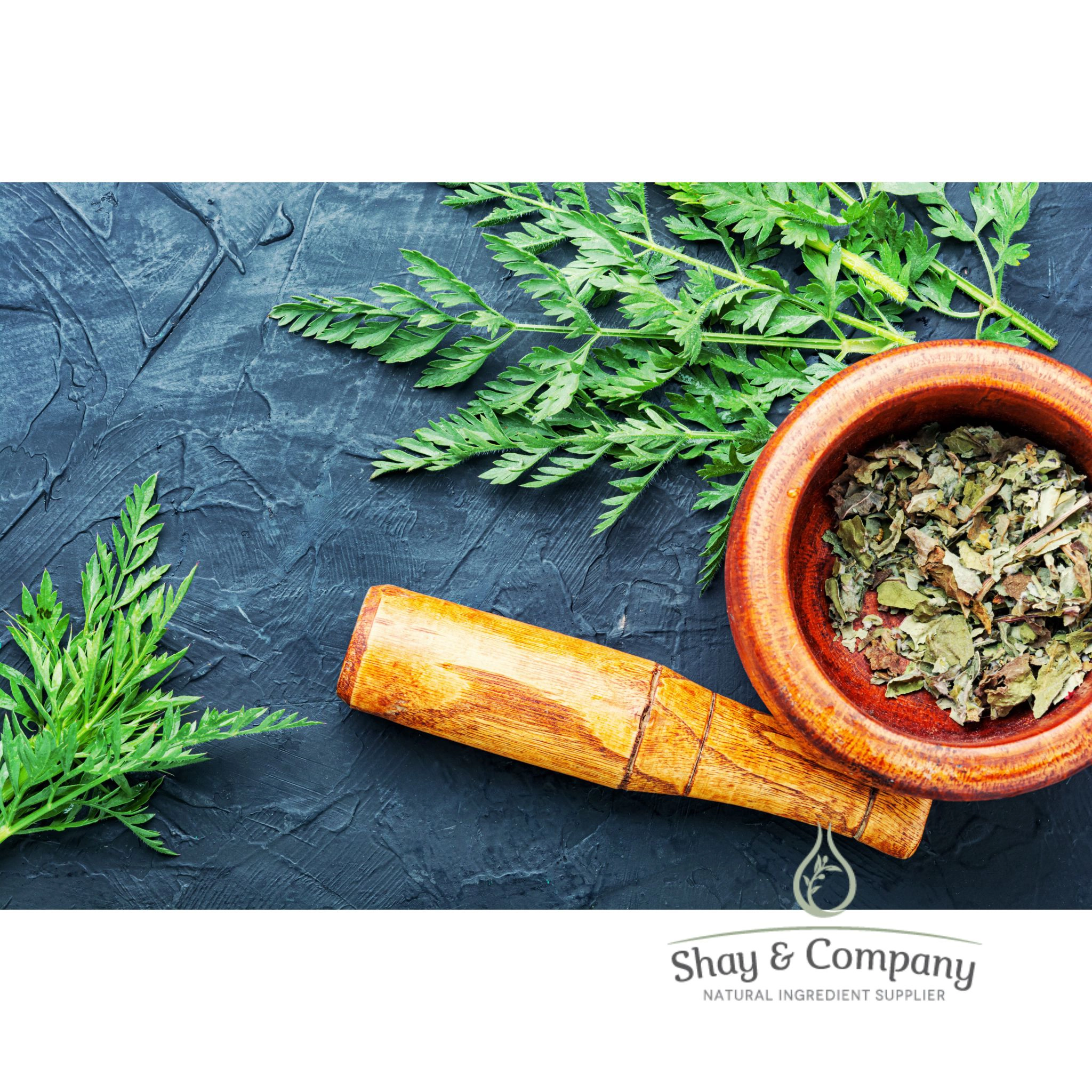 Carrot Seed Oil Virgin Cold Pressed