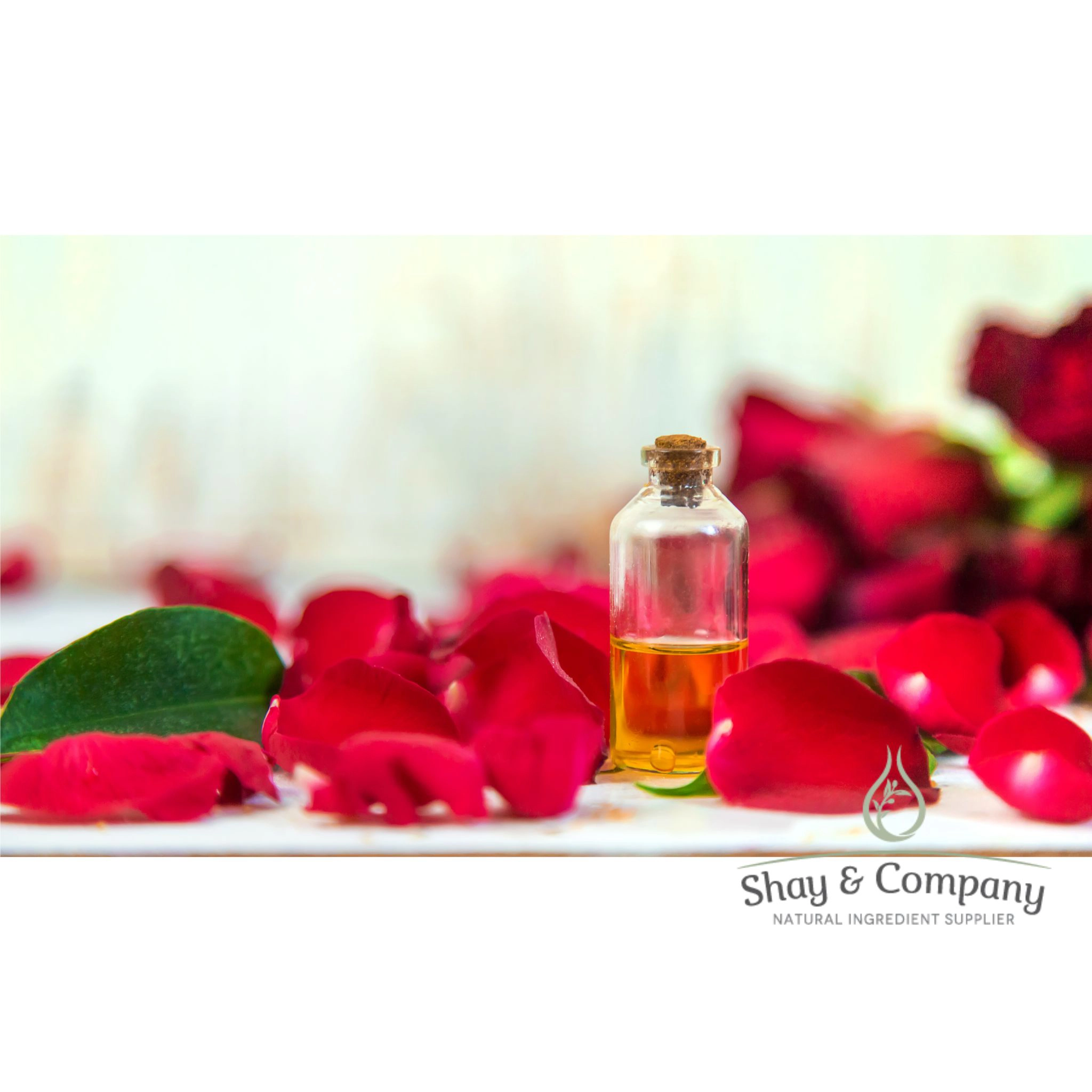 Rose Oil Extract Organic