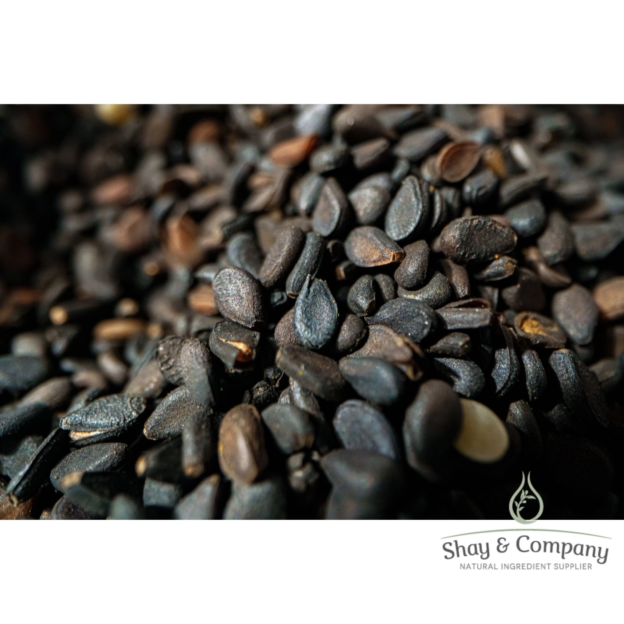Bakuchi Oil (Bakuchioil) Cold Pressed