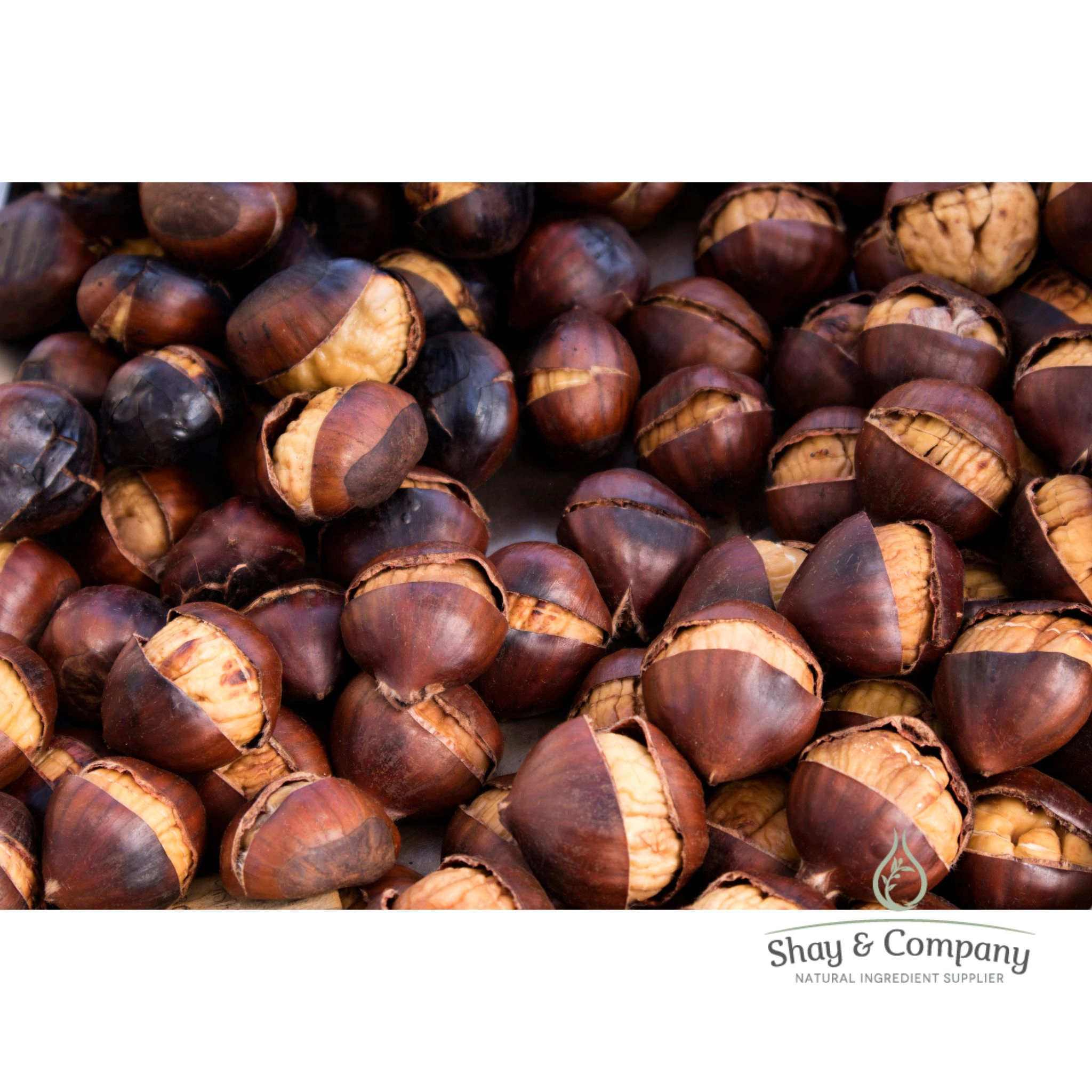 Roasted Chestnut and Burnt Sugar Fragrance