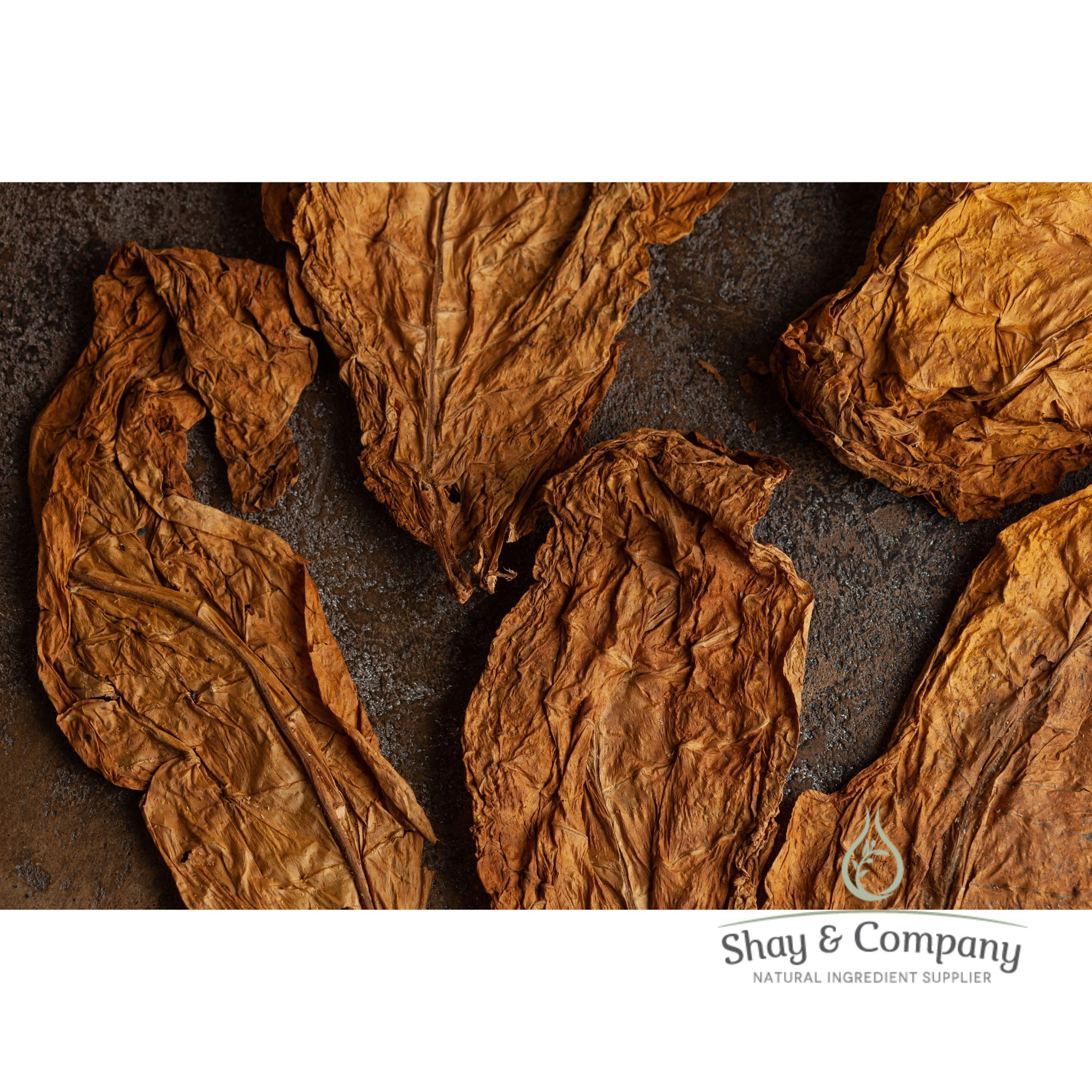 Tobacco Absolute