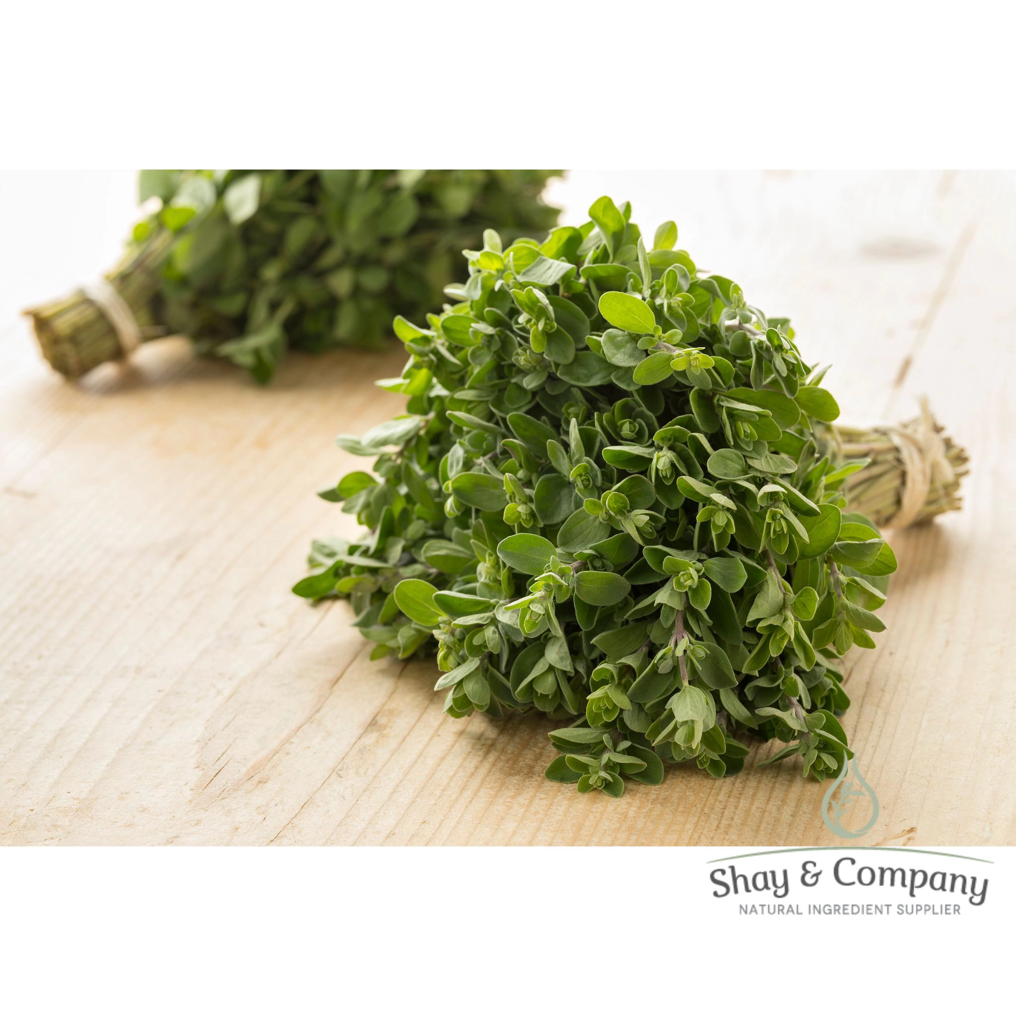 Marjoram Essential Oil
