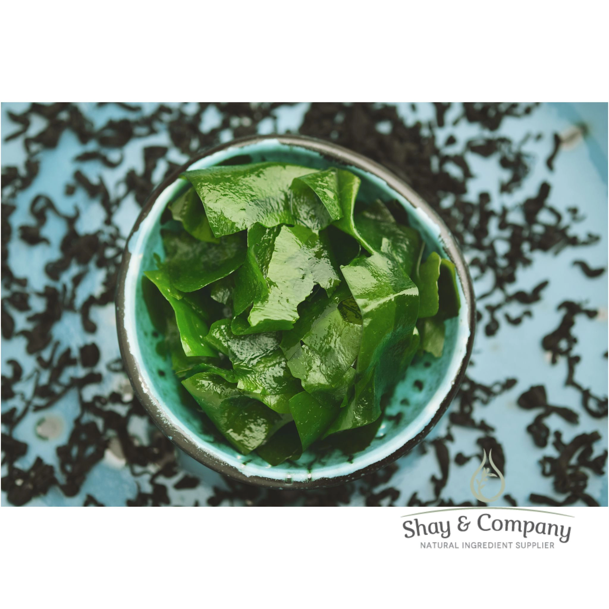 Wakame Bioferment Advanced