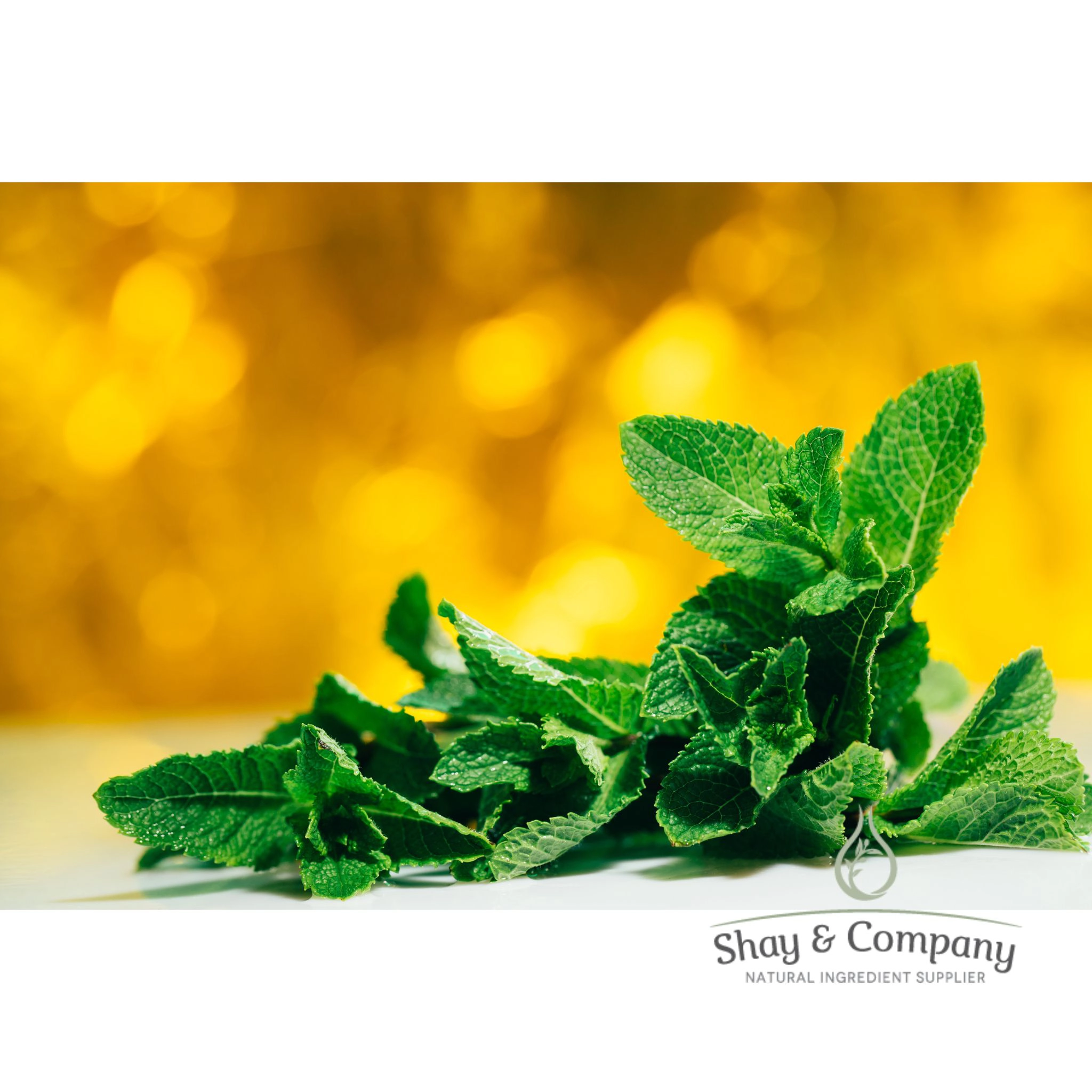 Peppermint All Natural Flavor