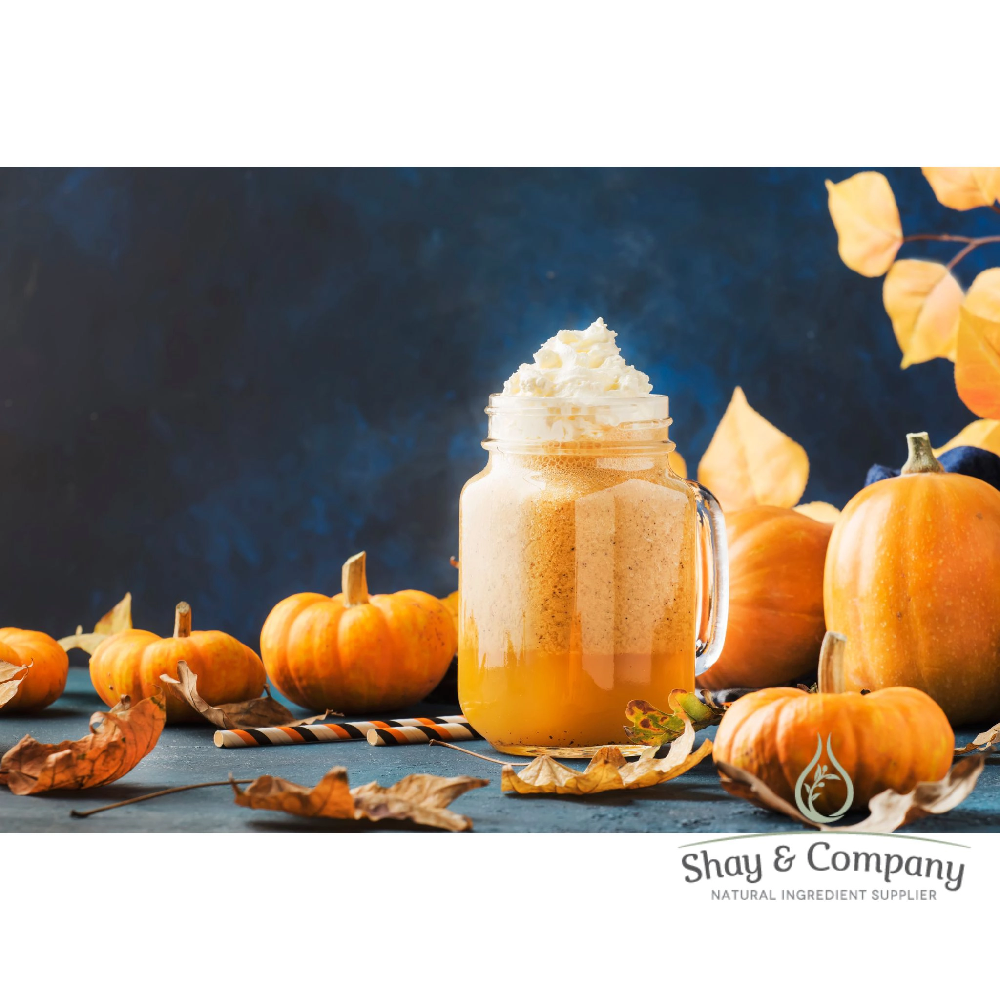 Maple Pumpkin Cream Fragrance 100% Natural