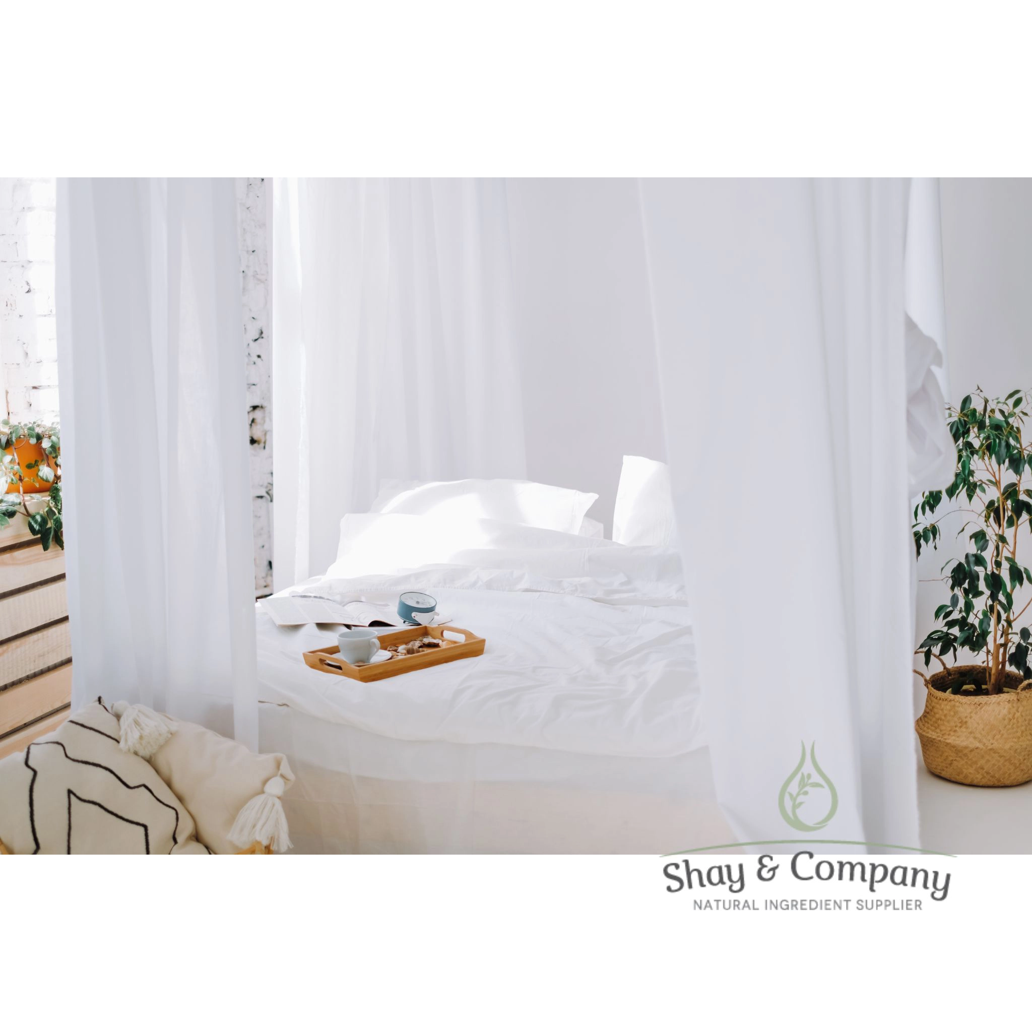 Crisp Linen Fragrance, Naturally Derived