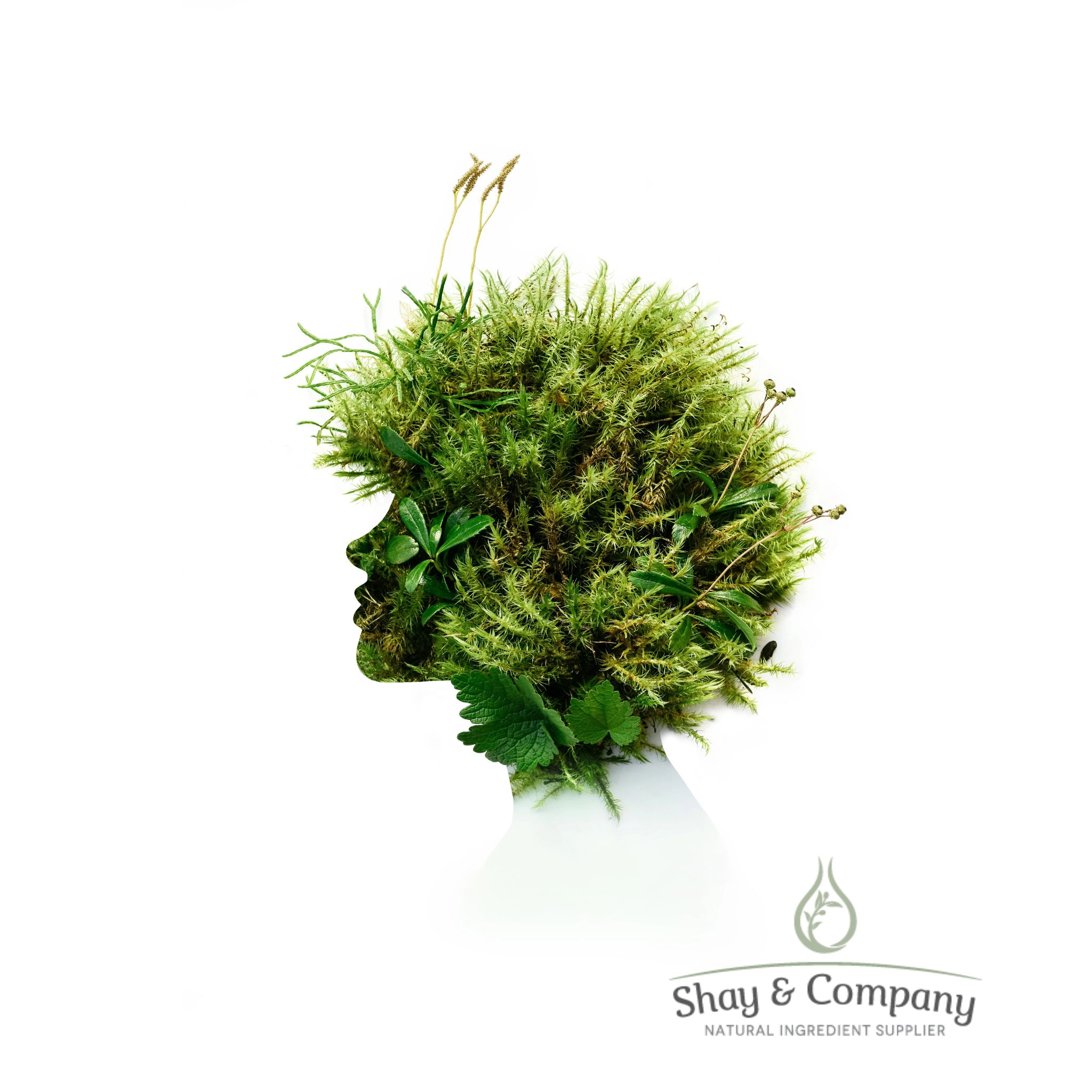 Ultra Green All Natural Fragrance