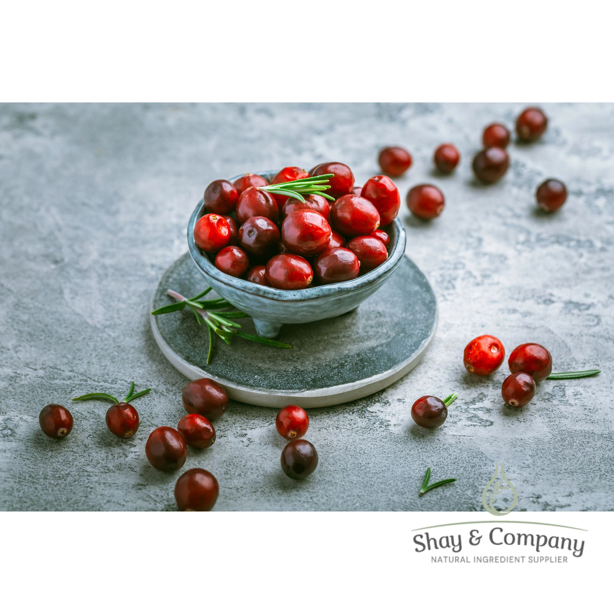 Cranberry Fragrance 100% Natural