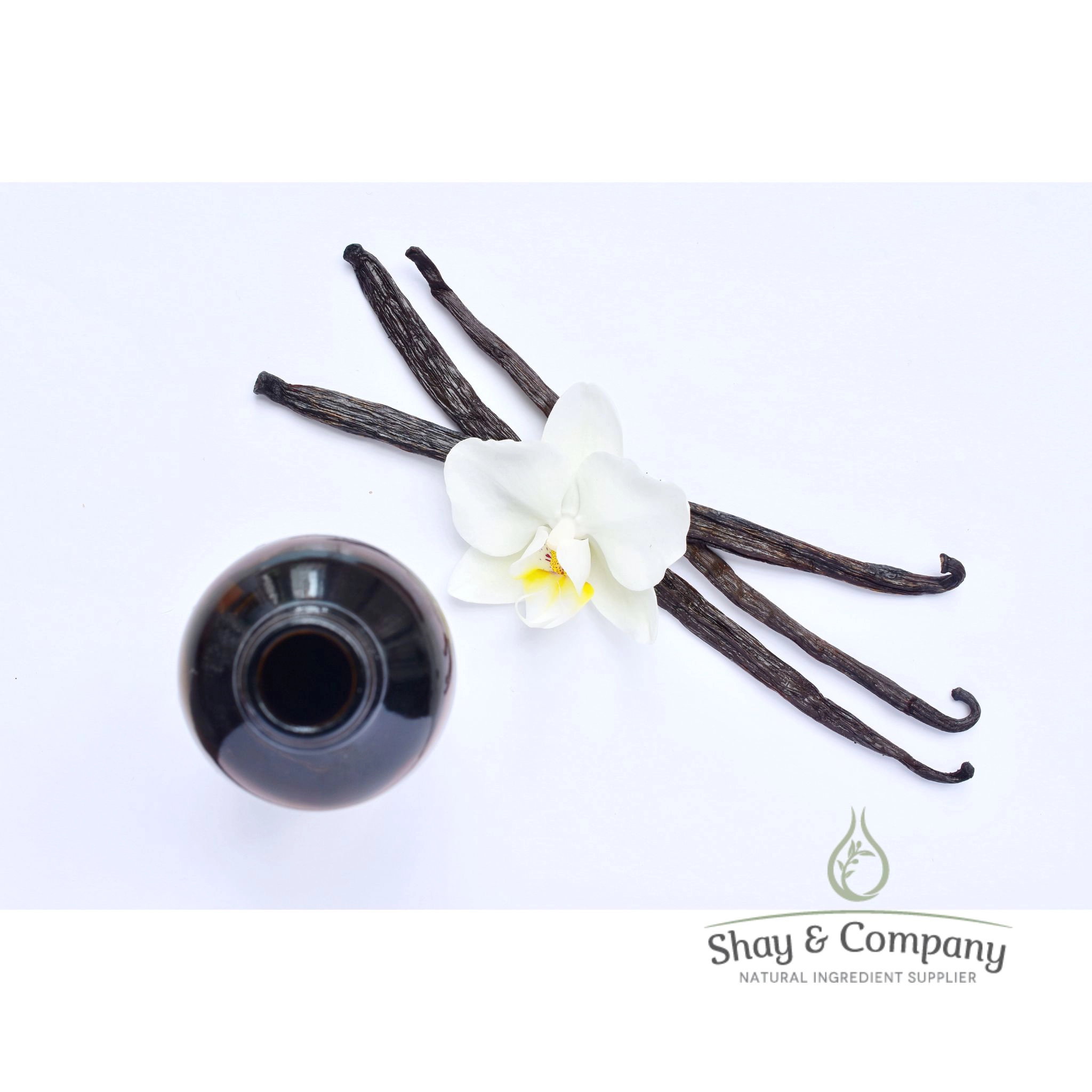 French Vanilla Fragrance 100% Natural