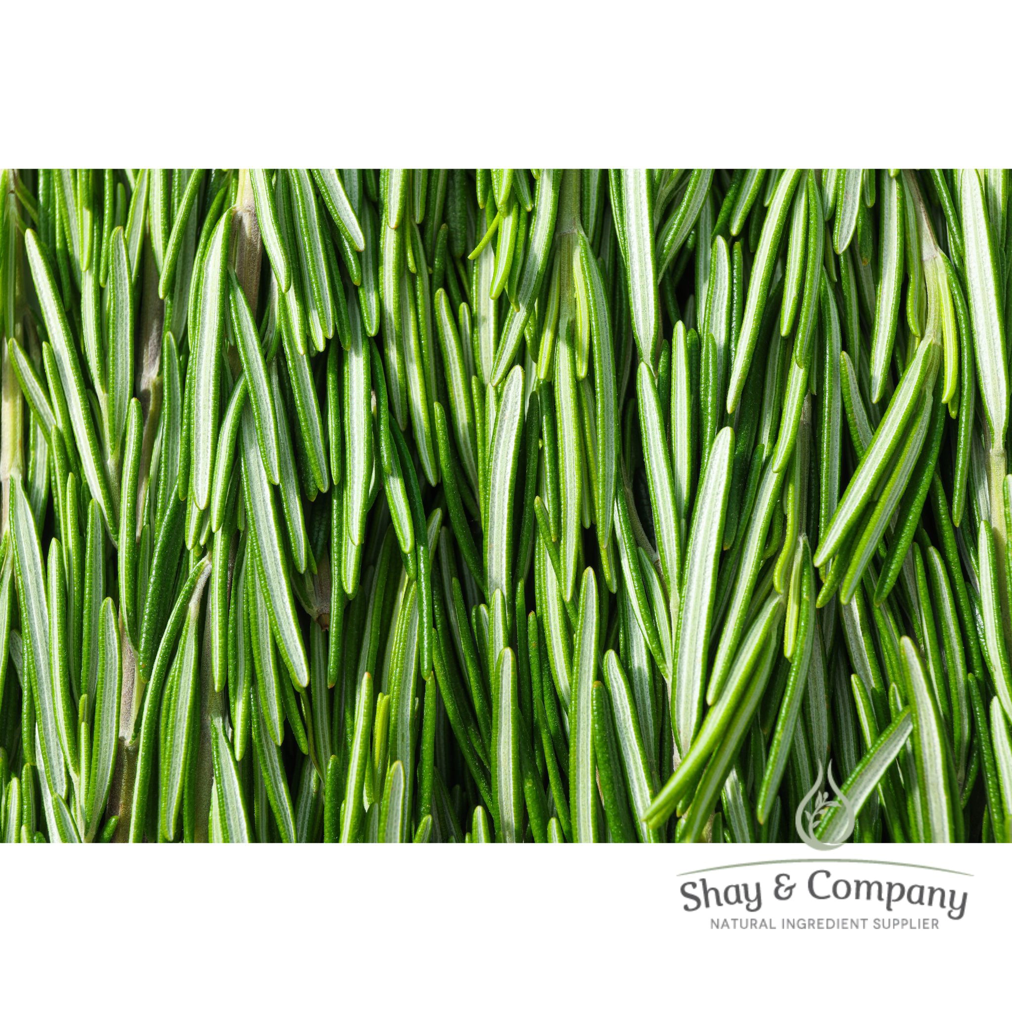 Rosemary Hydrosol/Water/Hydrolat Organic (Oregon Grown!)
