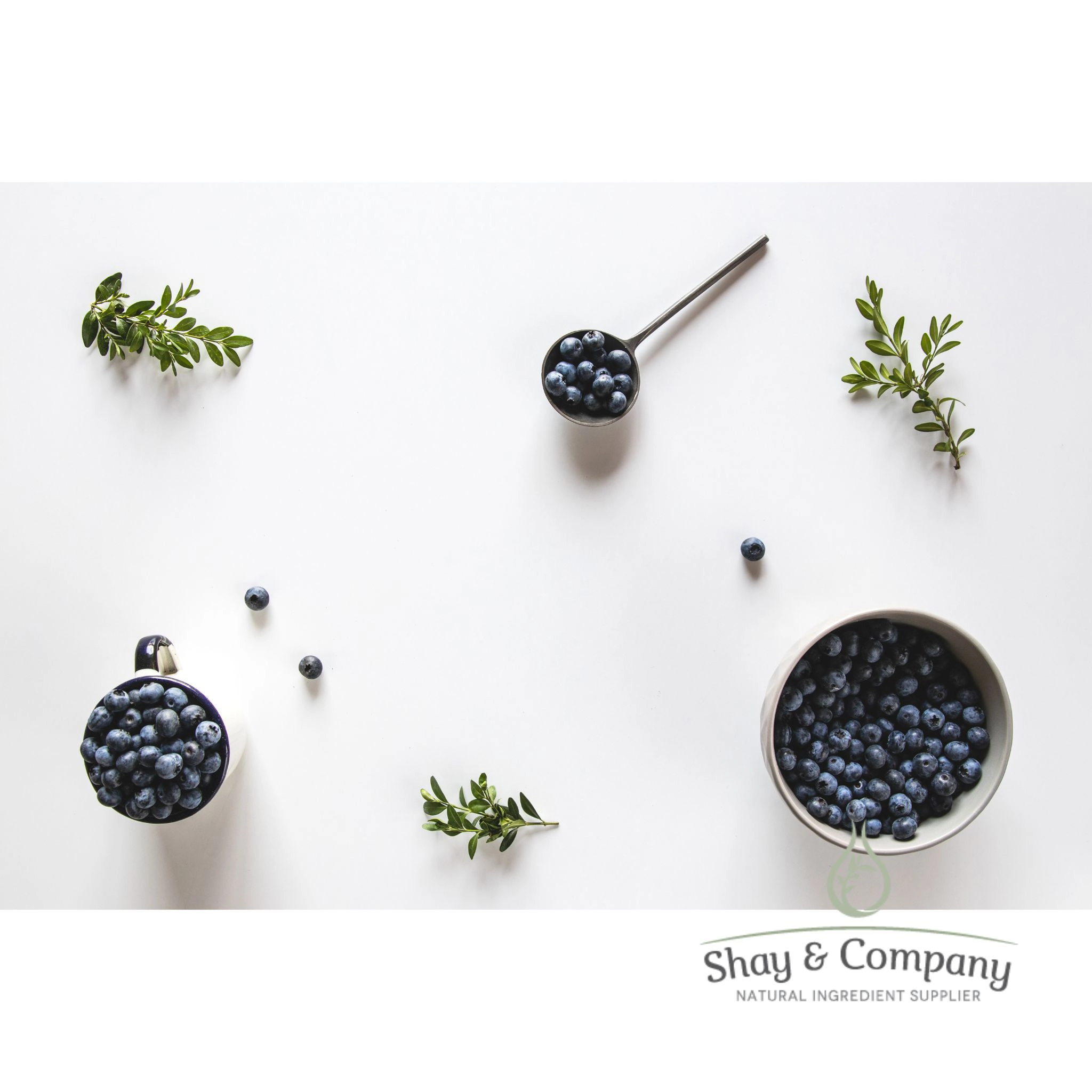 Blueberry & Thyme 91% Natural Fragrance