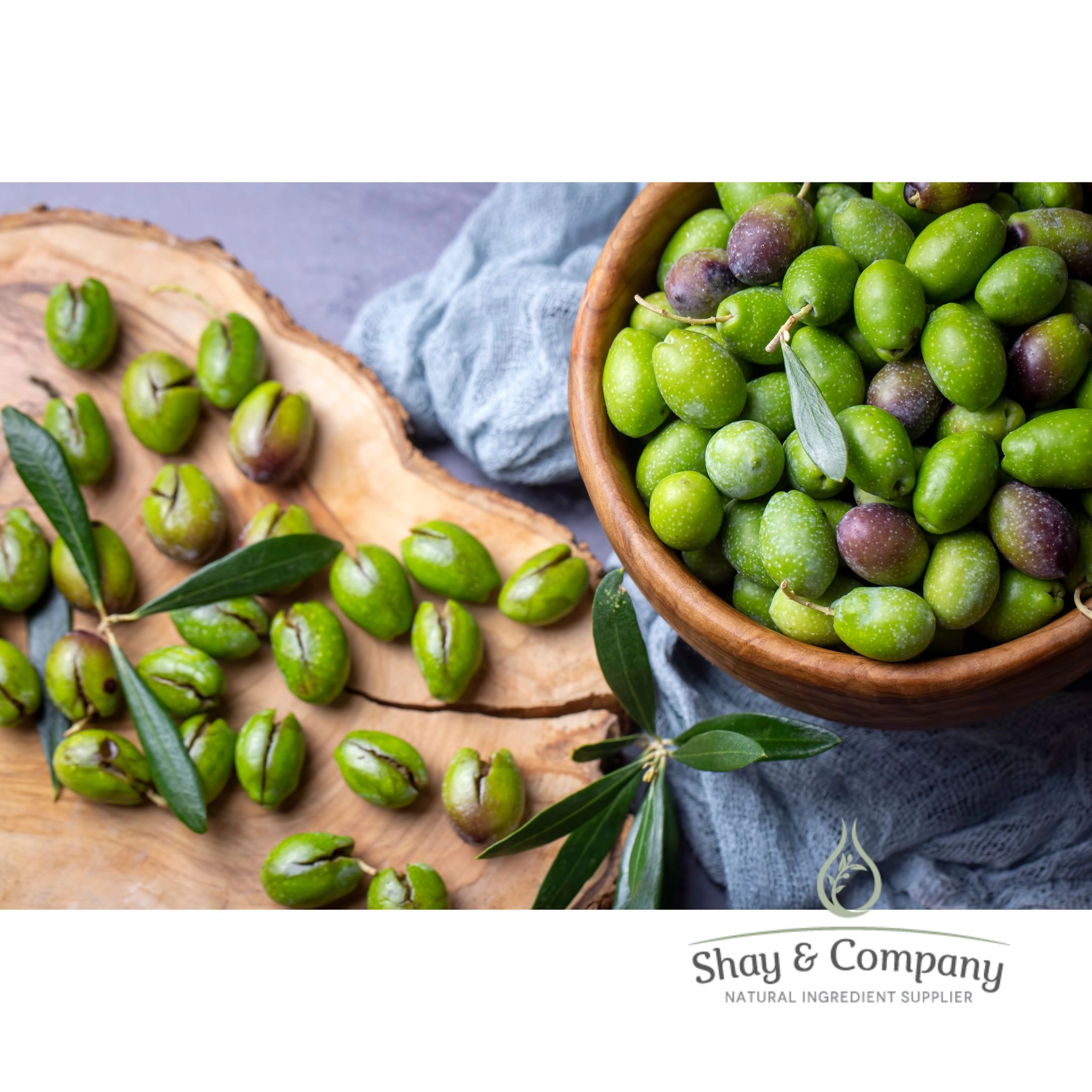 Olive Oil Eco Silicone